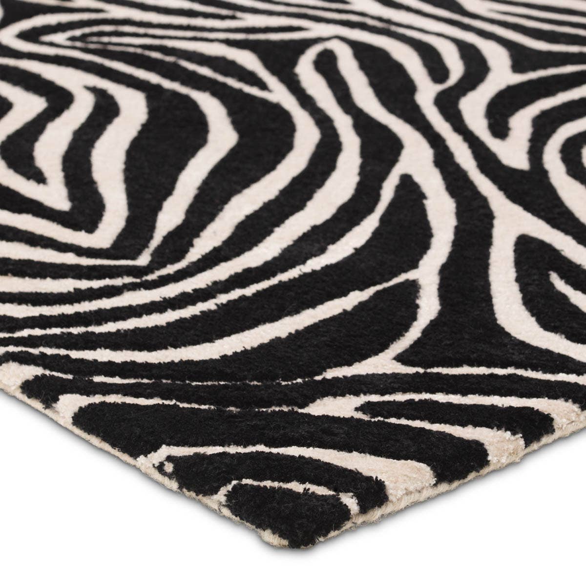 Jaipur Living Clayton CLN18 Collide Rug