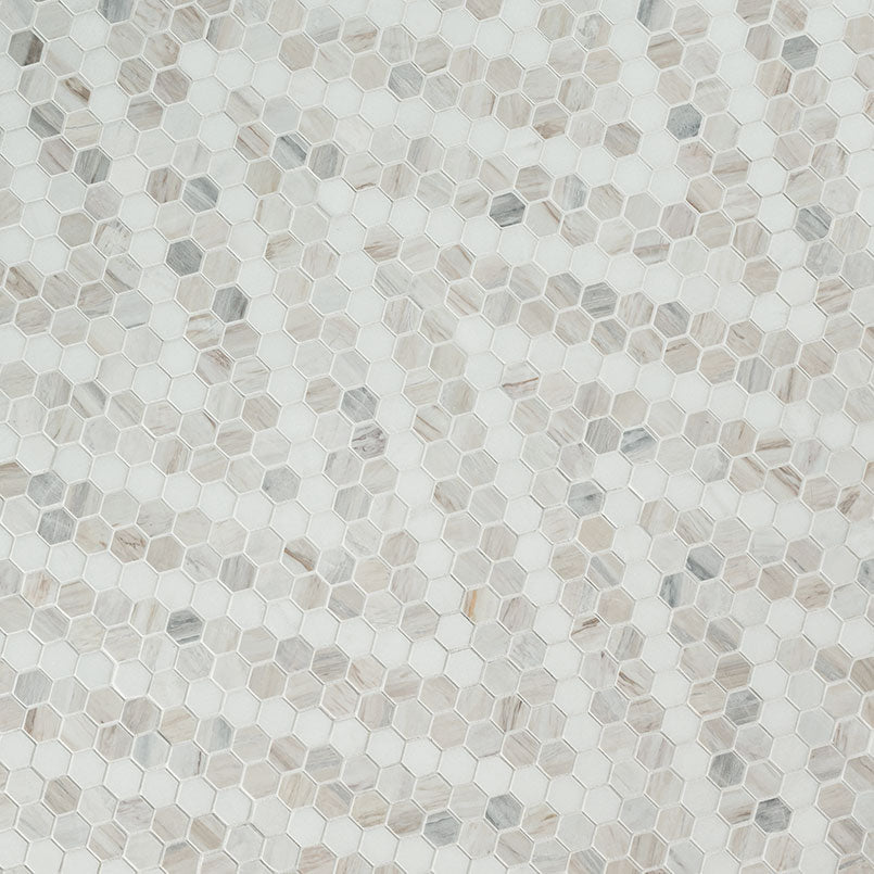 Angora Sazi Polished Tile