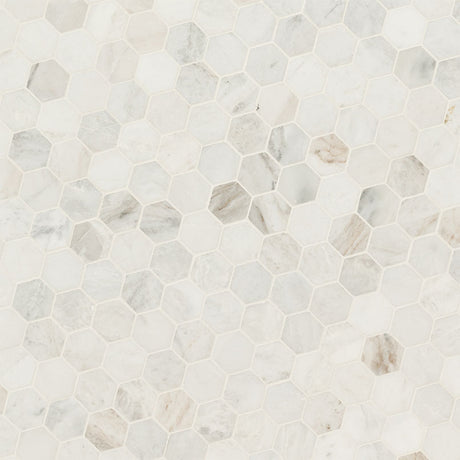 Arabescato Venato White Hexagon Tile