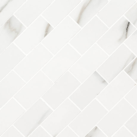 Aria Bianco Subway Tile 2x4 Tile