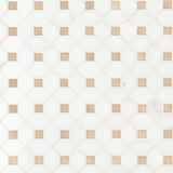 Bianco Dolomite Crema Dotty Pattern Tile