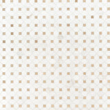 Bianco Dolomite Crema Dotty Pattern Tile