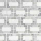 Bianco Dolomite Lynx Polished Marble Tile