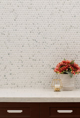 Carrara Matte Penny Round Mosaic Tile