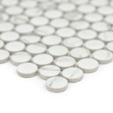 Carrara Matte Penny Round Mosaic Tile