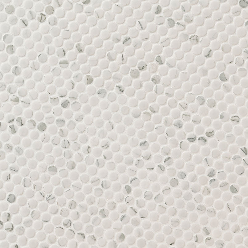 Carrara Matte Penny Round Mosaic Tile