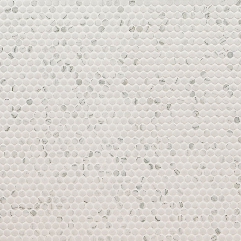 Carrara Matte Penny Round Mosaic Tile