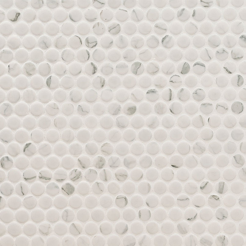 Carrara Matte Penny Round Mosaic Tile