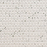 Carrara Matte Penny Round Mosaic Tile