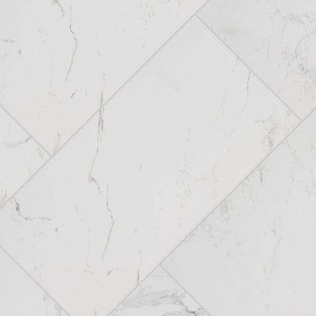 Carrara Porcelain Tile